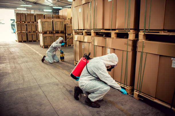 Professional Pest Control in Swissvale, PA